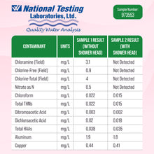 The Shower Secret - Filtered Showerhead